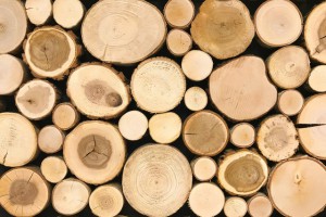 Vì sao nên lựa chọn đồ gỗ cho nội thất ?